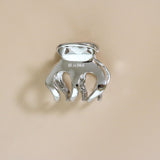 Metal Silver Marron Clip