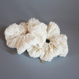 Shiny Milkey White Scrunchie
