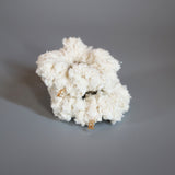 Shiny Milkey White Mini Scrunchie