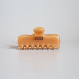 Nude Gloss Hair Clip