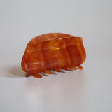 Almond Brown Gloss Lip Clip