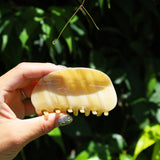 Caramel Marble Gloss Lip Clip