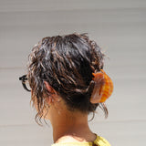 Almond Brown Gloss Lip Clip