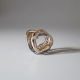 Silver Mouth Hair Clip