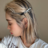 Straight Hair Clip Black Silver